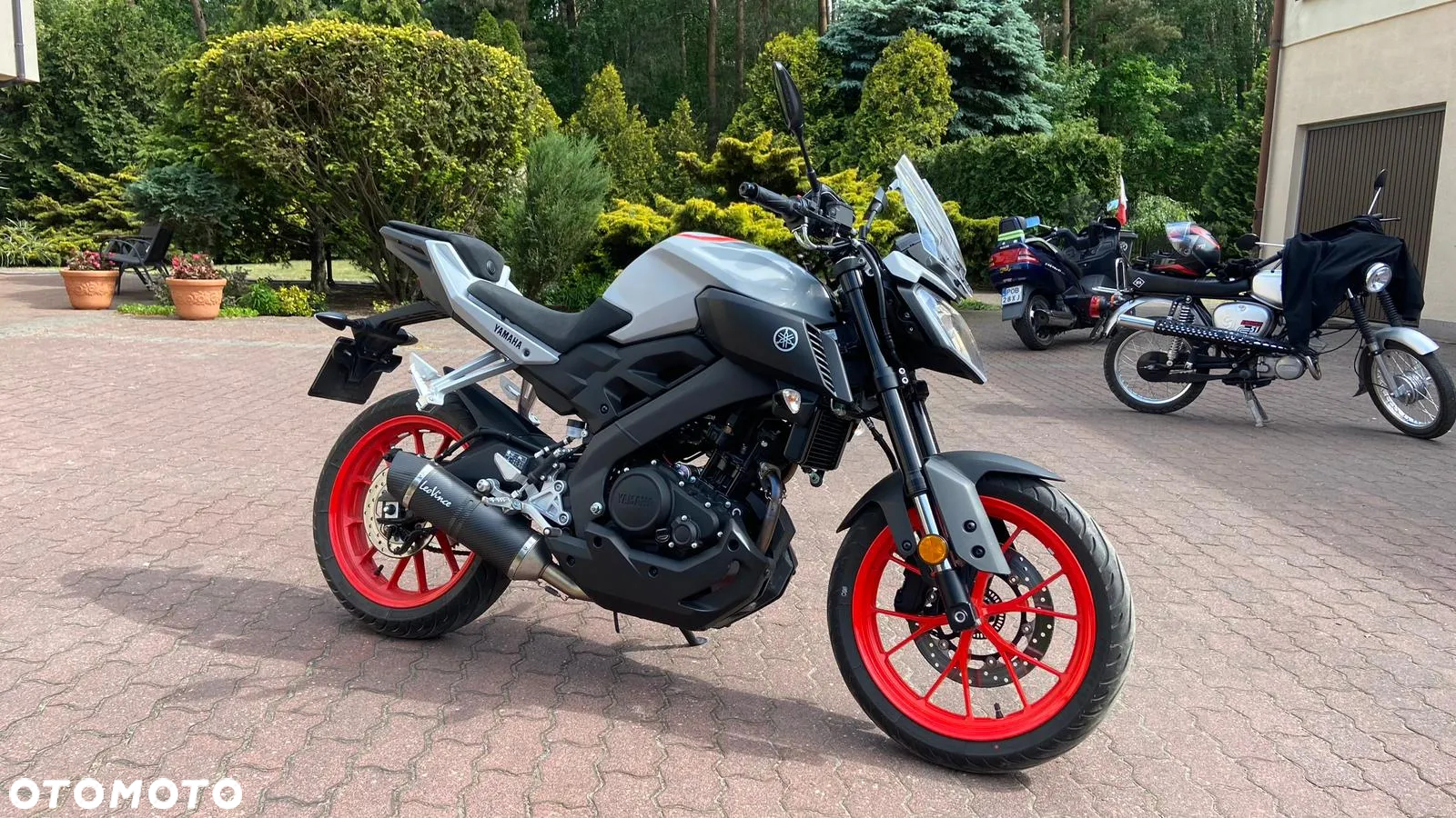 Yamaha MT - 6