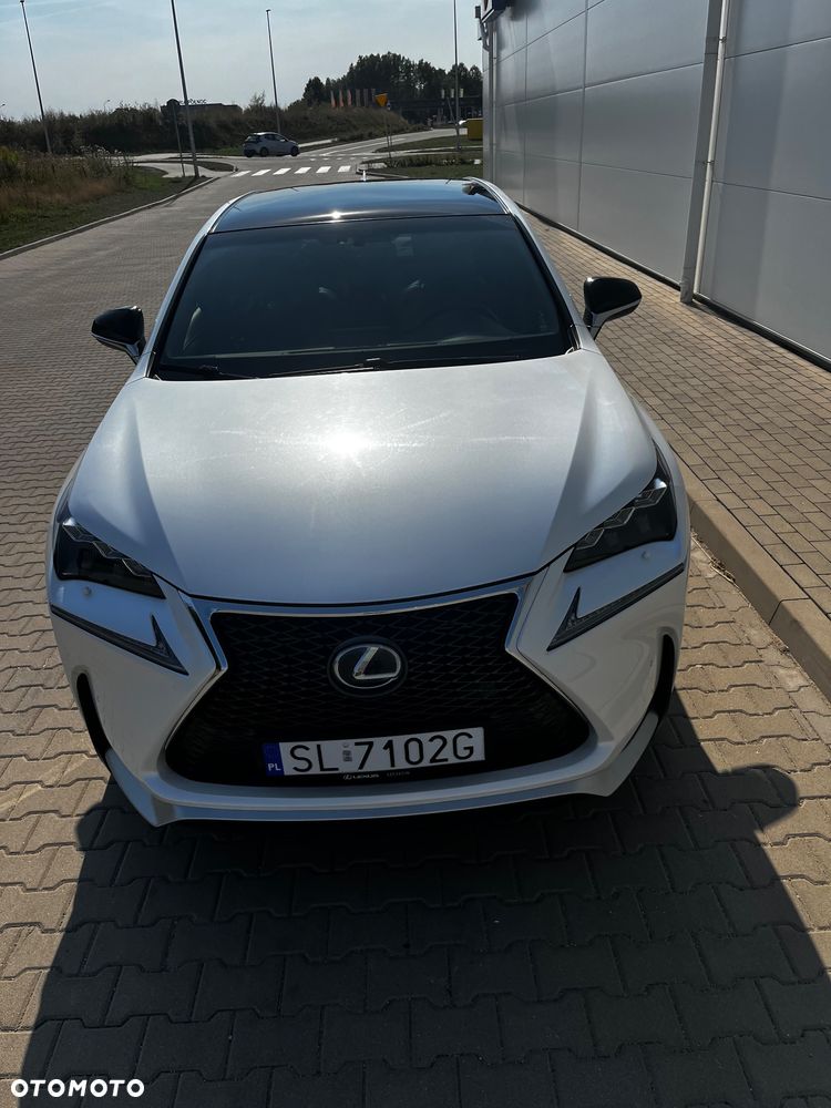 Lexus NX 300h F Sport AWD - 12