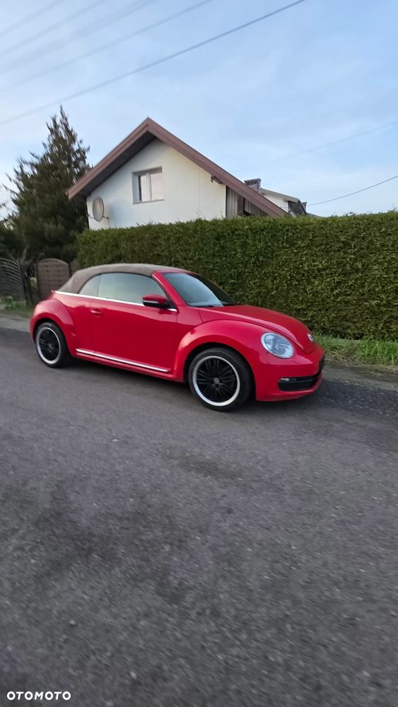 Volkswagen Beetle - 20