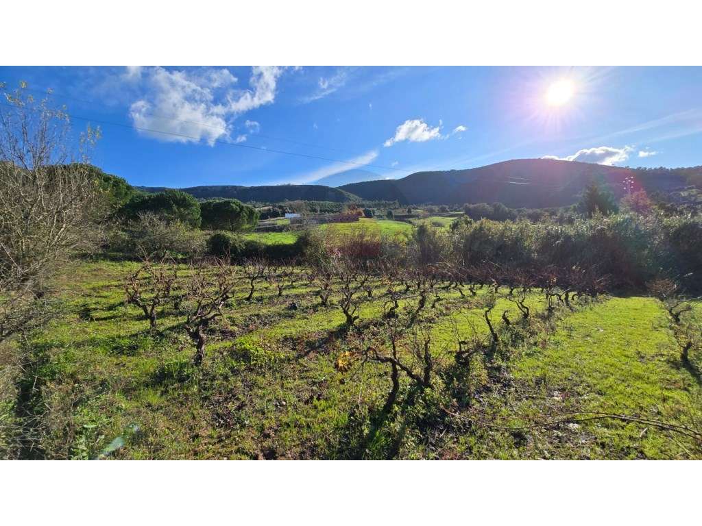 Terreno com 2.200 m², localizado em Pragança, no concelho do Cadaval - Grande imagem: 2/15