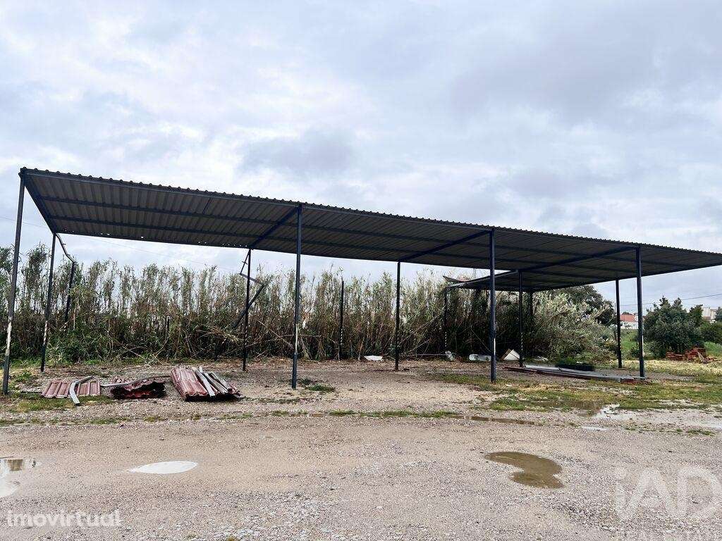 Loja / Estabelecimento Comercial T2 em Santiago do Cacém, Santa Cruz e - Grande imagem: 3/14