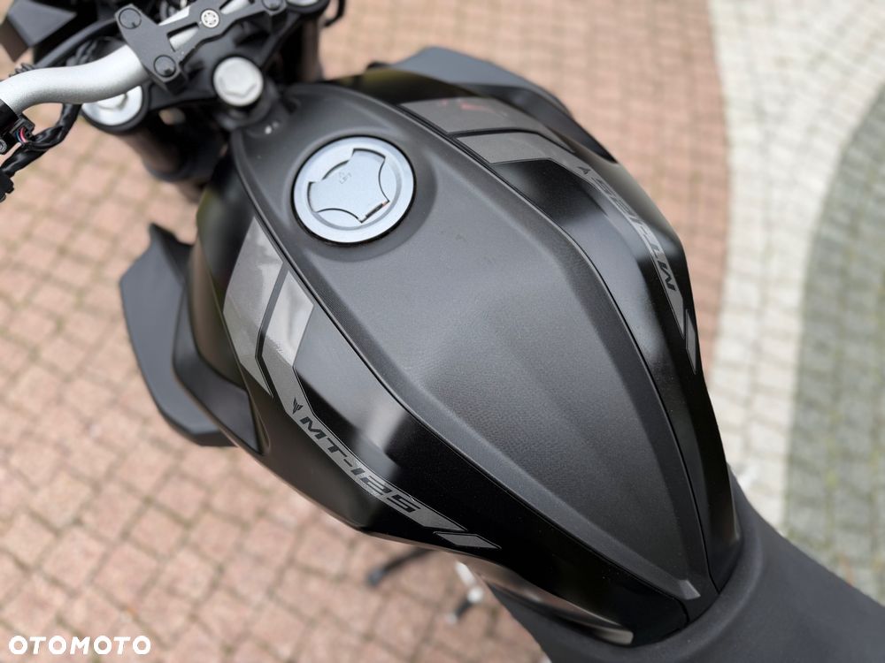 Yamaha MT - 33