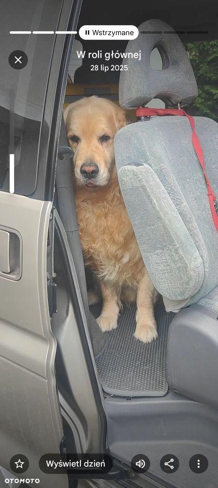 Mitsubishi Space Gear - 12