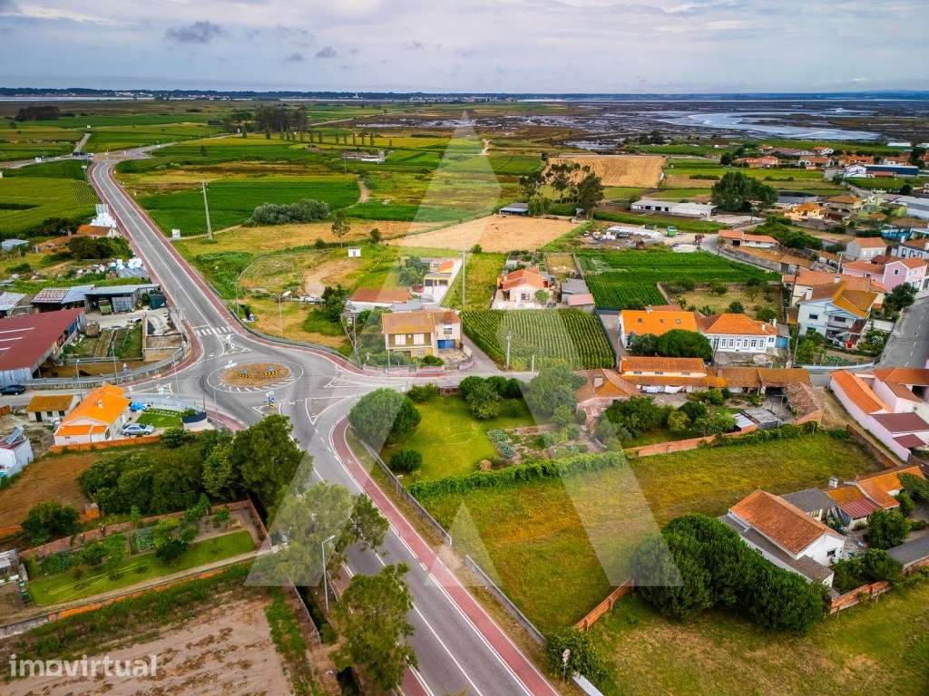 Terreno construção moradia - Murtosa - Ria de Aveiro - Grande imagem: 2/16