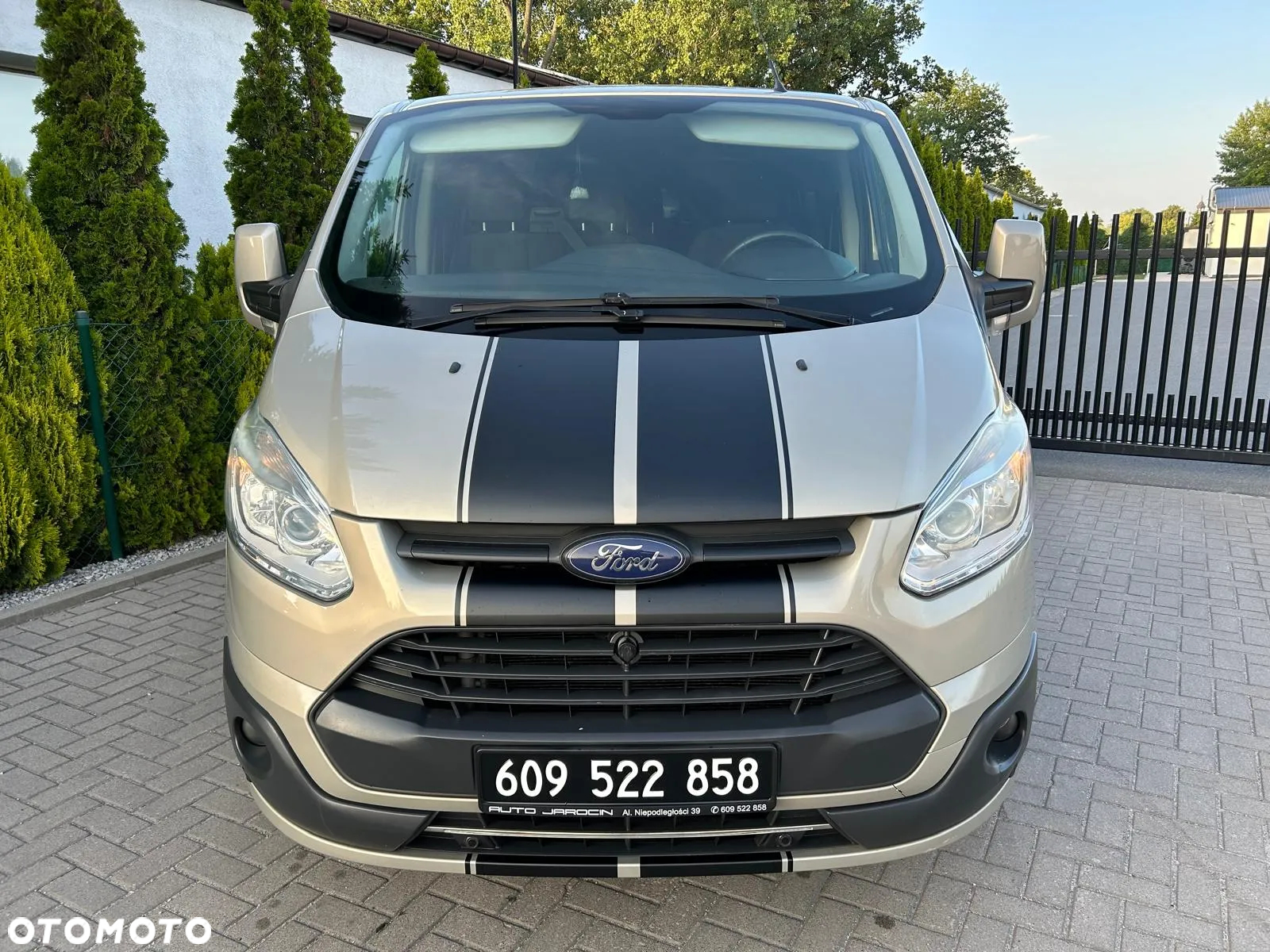 Ford Transit Custom 290 L2H1 Ambiente - 12