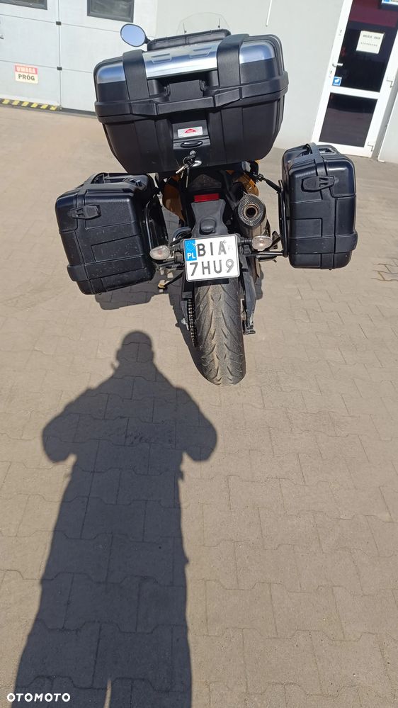 Triumph Tiger - 6
