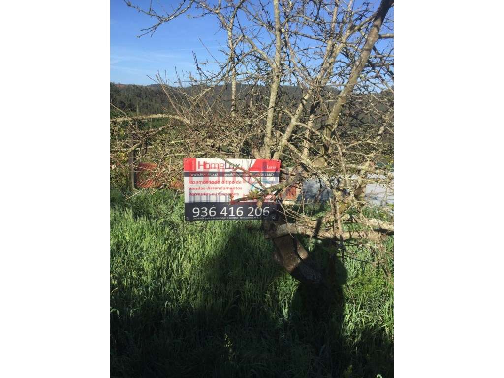 Terreno em Albergaria-A-Velha - Grande imagem: 3/30