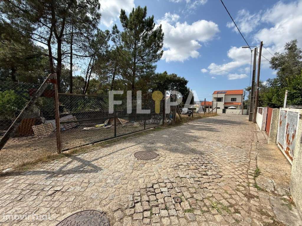 Terreno rústico em Campo - Valongo - Grande imagem: 3/7