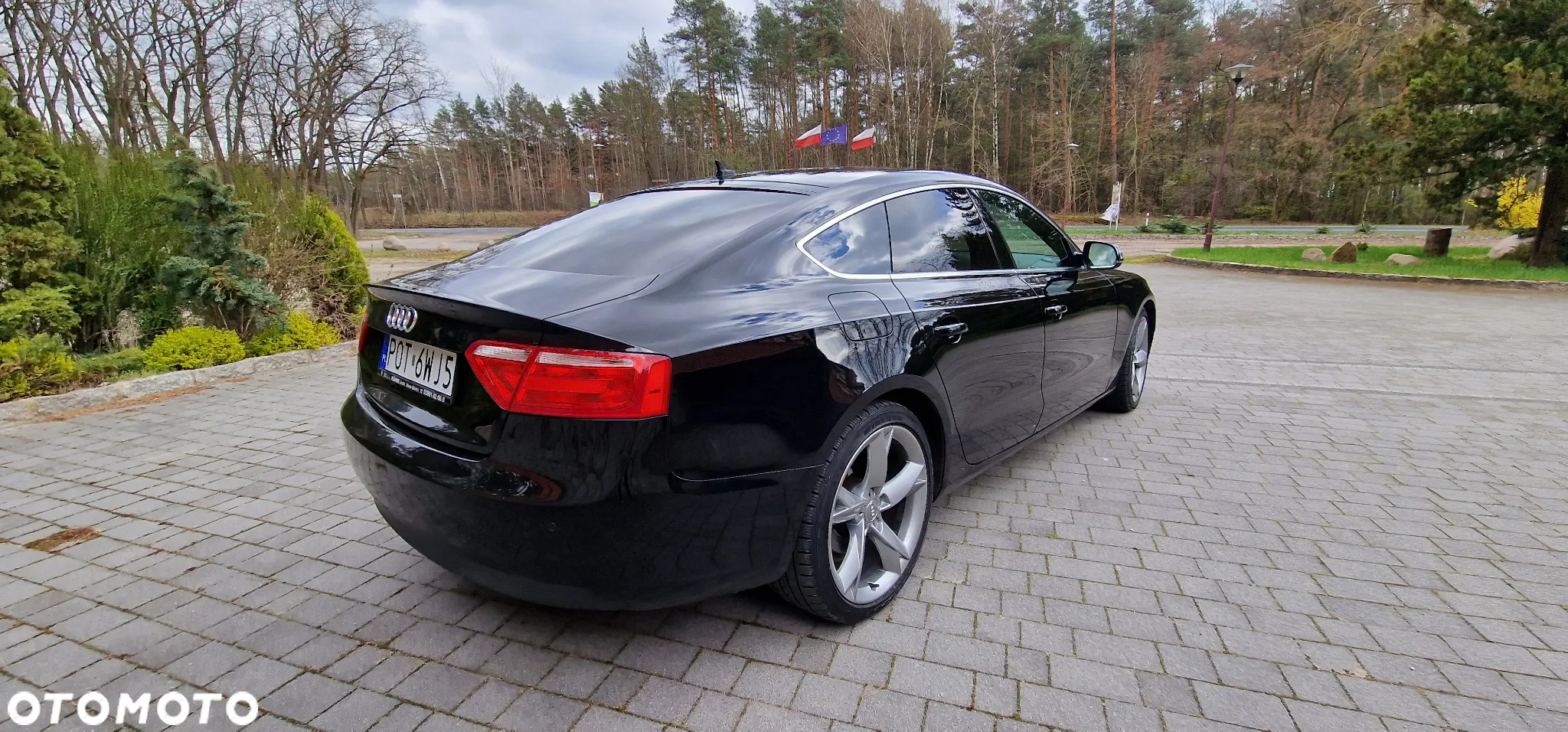 Audi A5 2.0 TDI clean diesel Multitronic - 10