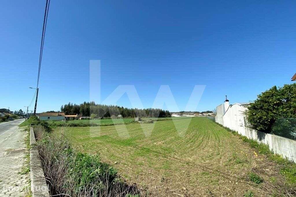 Terreno Urbanizável | Ílhavo | Ervosas | 5350m2 - Grande imagem: 4/24