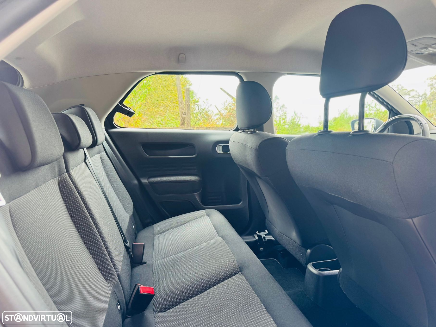 Citroën C4 Cactus 1.6 BlueHDi Shine - 39