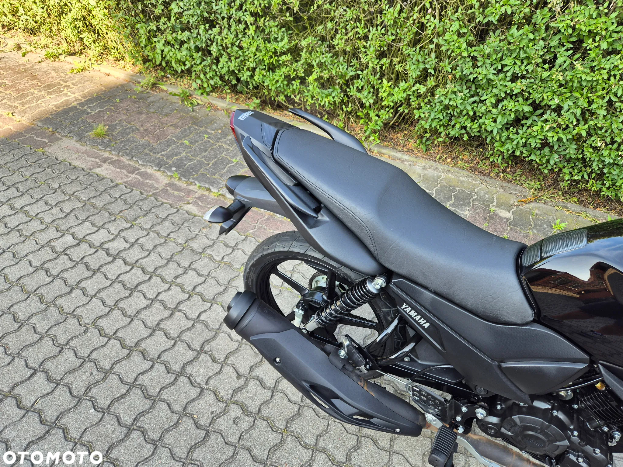Yamaha YS - 19