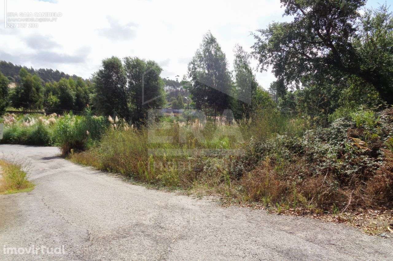 Terrenos para Construção de Moradia, Madalena - Grande imagem: 3/4