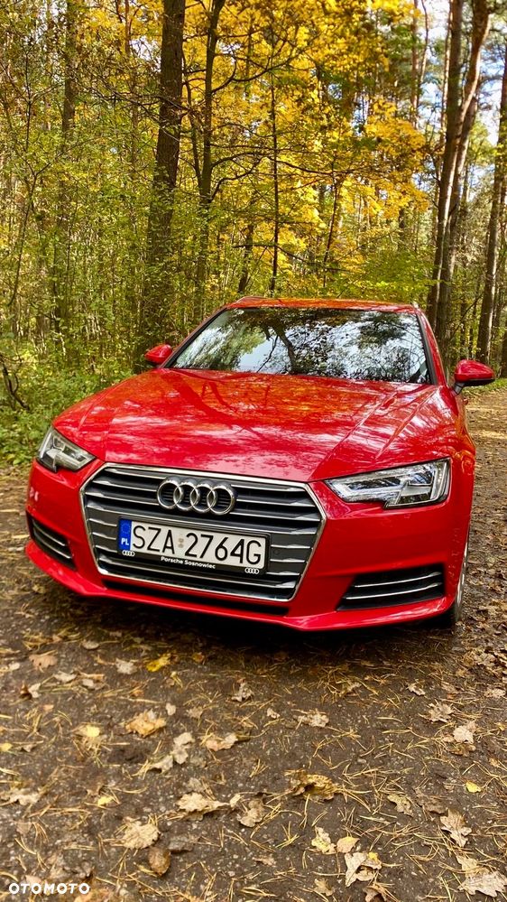 Audi A4 - 17