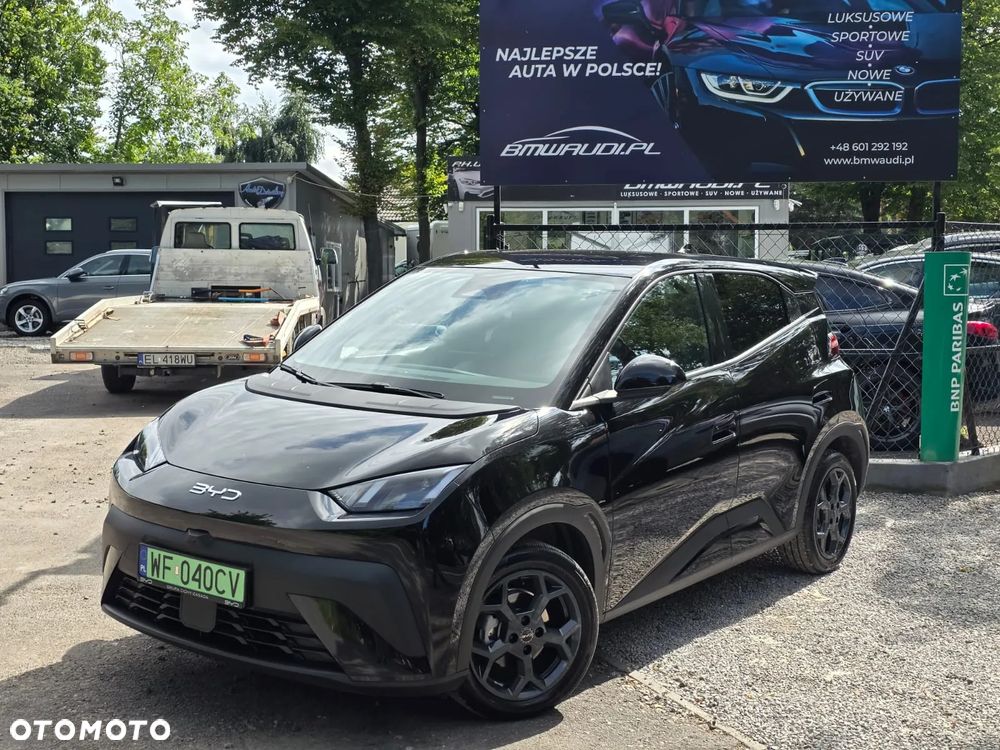 BYD Dolphin Surf - 2