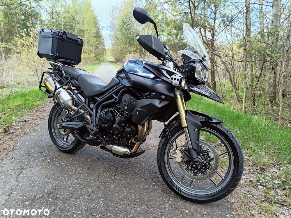 Triumph Tiger - 26