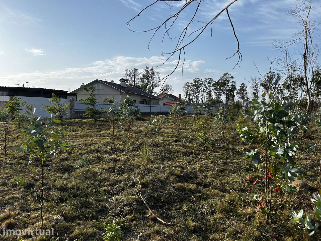 Terreno com potencial de construção - Macinhata do Vouga | Águeda - Grande imagem: 5/5