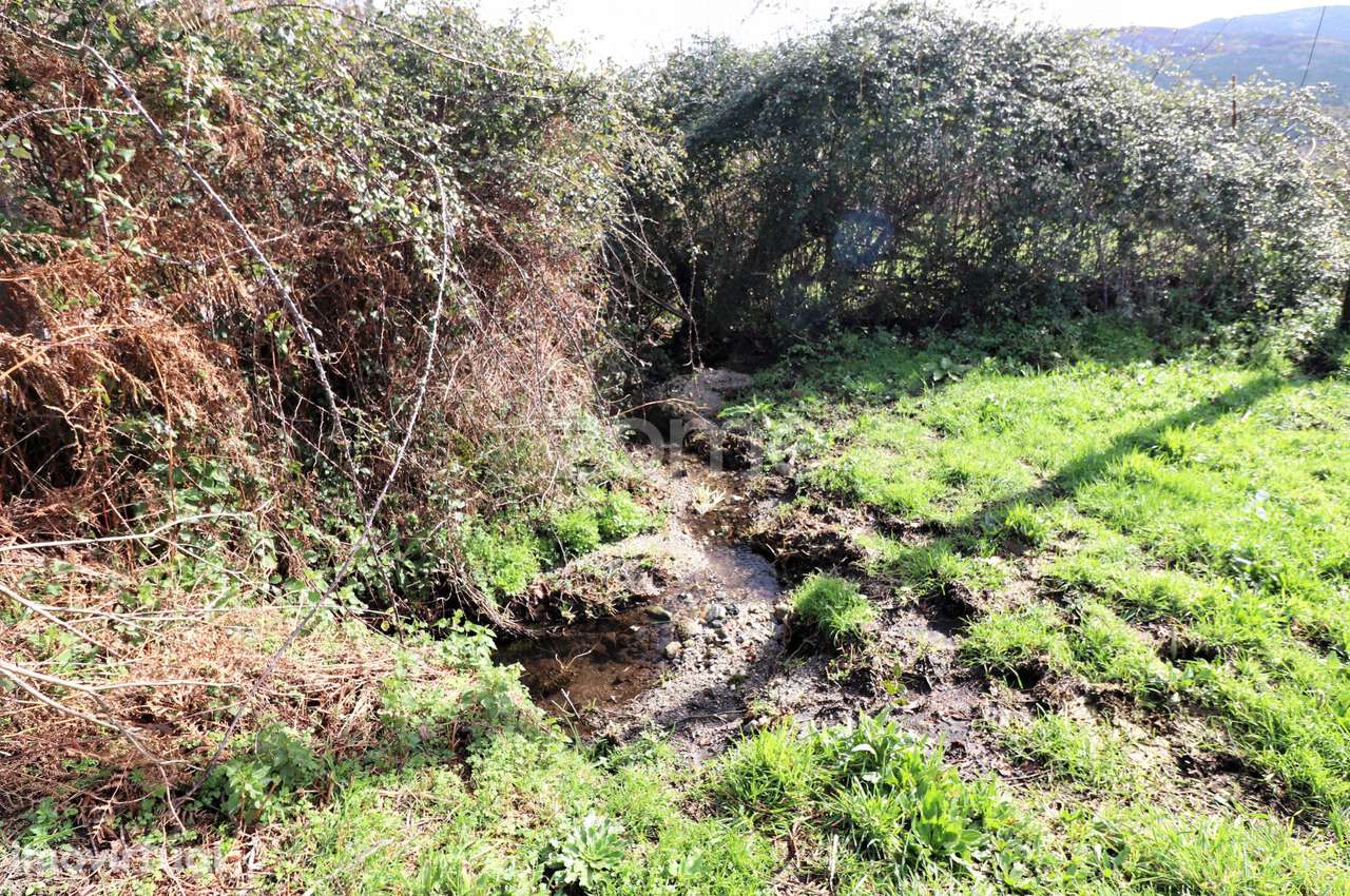 Terreno em casais de vide - Aboim da - Vila Verde - Grande imagem: 3/8