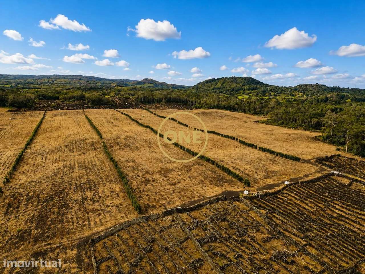 Terreno com Vinha à Venda na Ilha do Pico - Grande imagem: 3/4