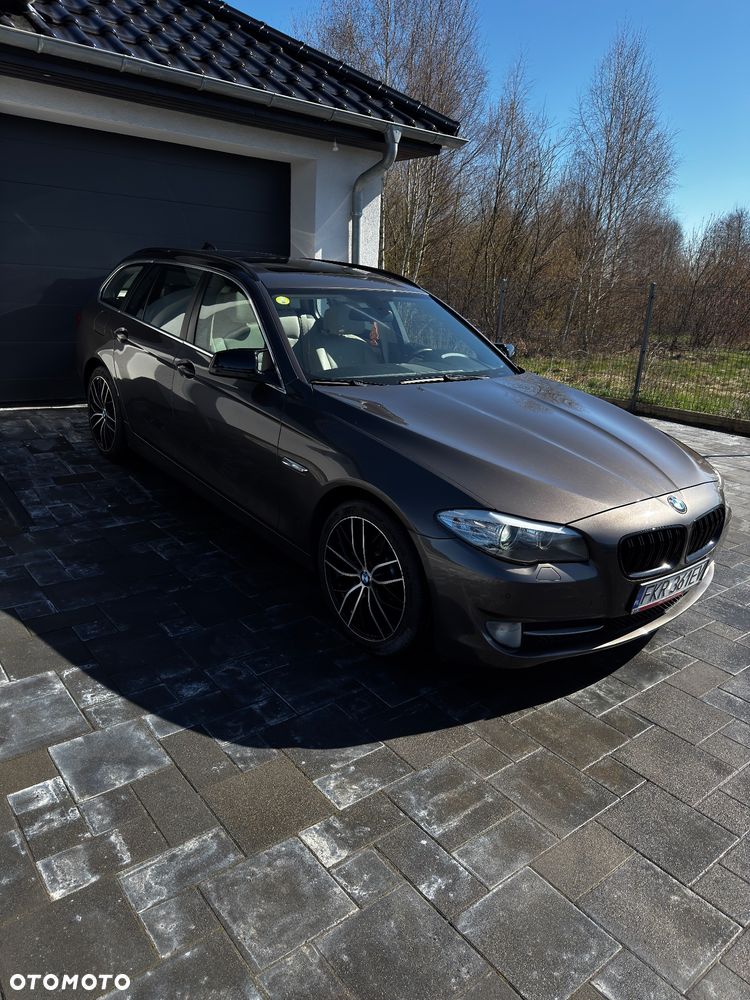 BMW Seria 5 520d Blue Performance - 16