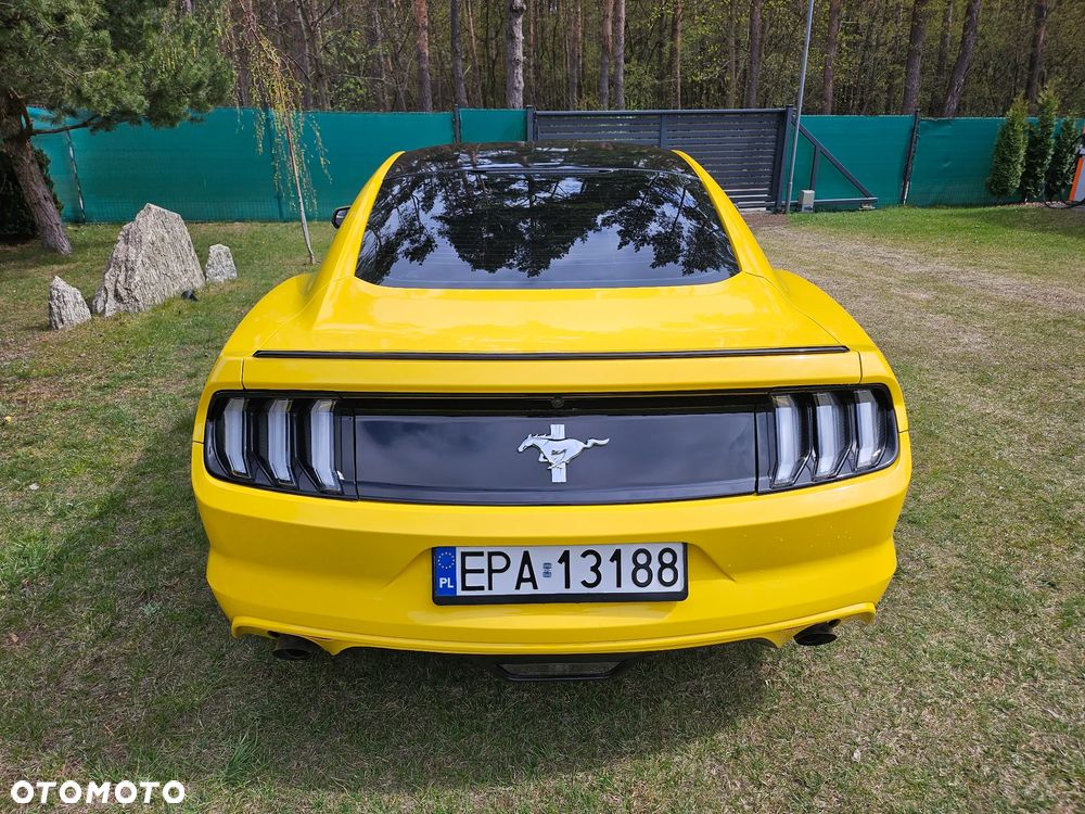 Ford Mustang 3.7 V6 - 7