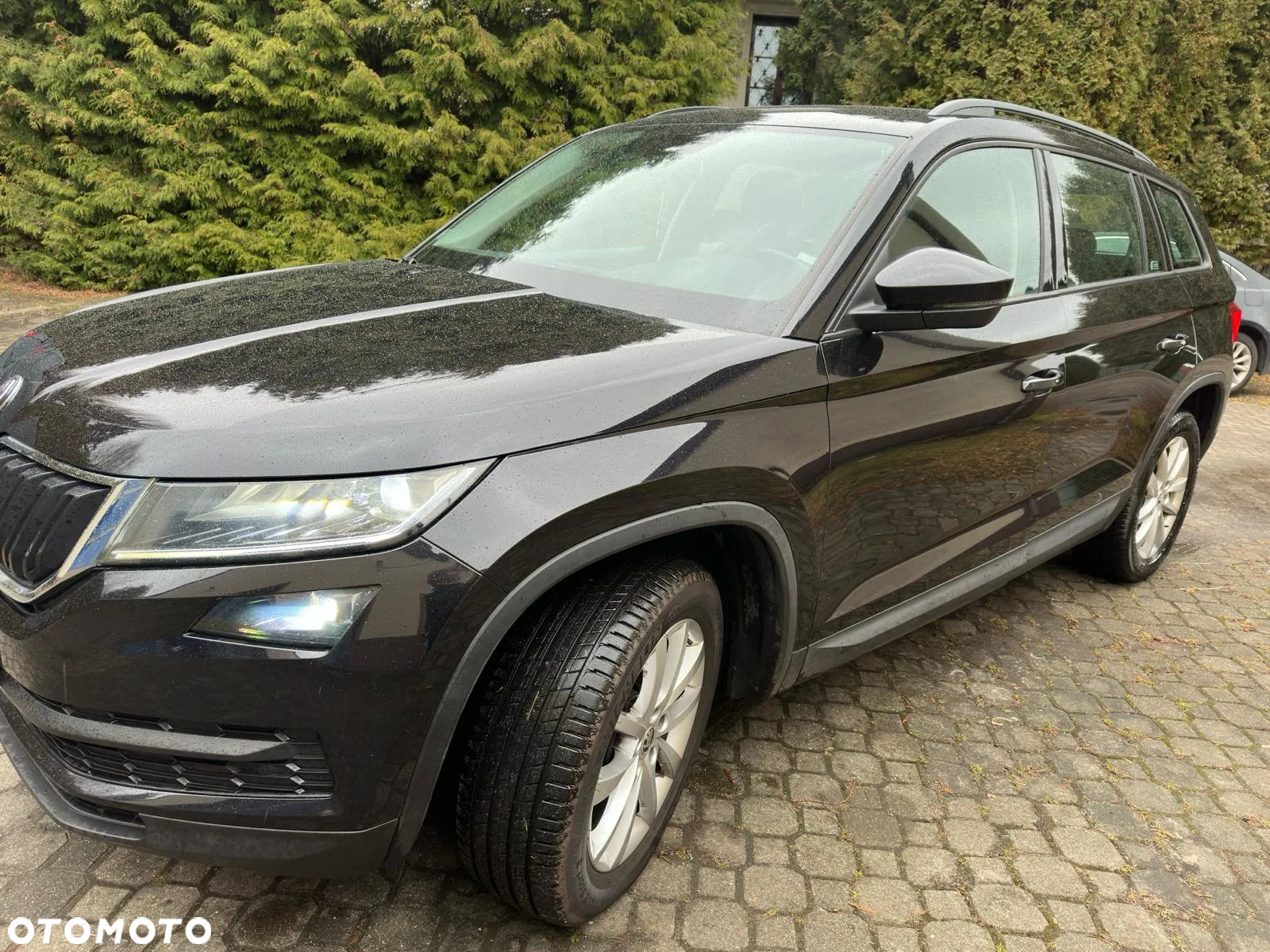 Skoda Kodiaq 2.0 TDI 4x4 Ambition DSG - 21