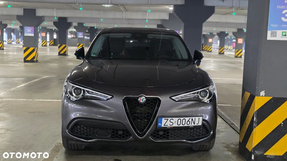 Alfa Romeo Stelvio 2.0 Turbo Business Q4 - 3