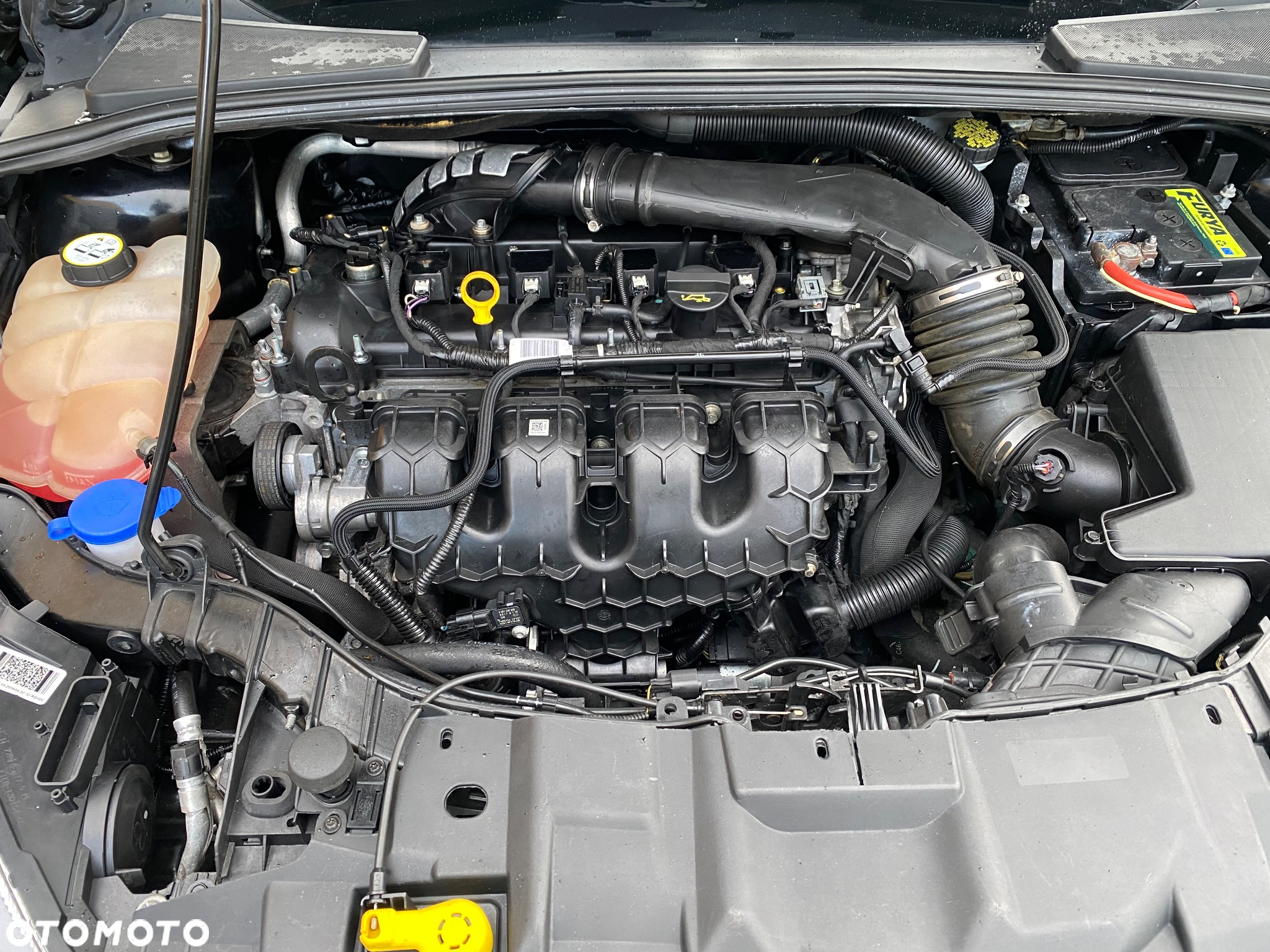 Ford Focus 2.0 EcoBoost ST - 10