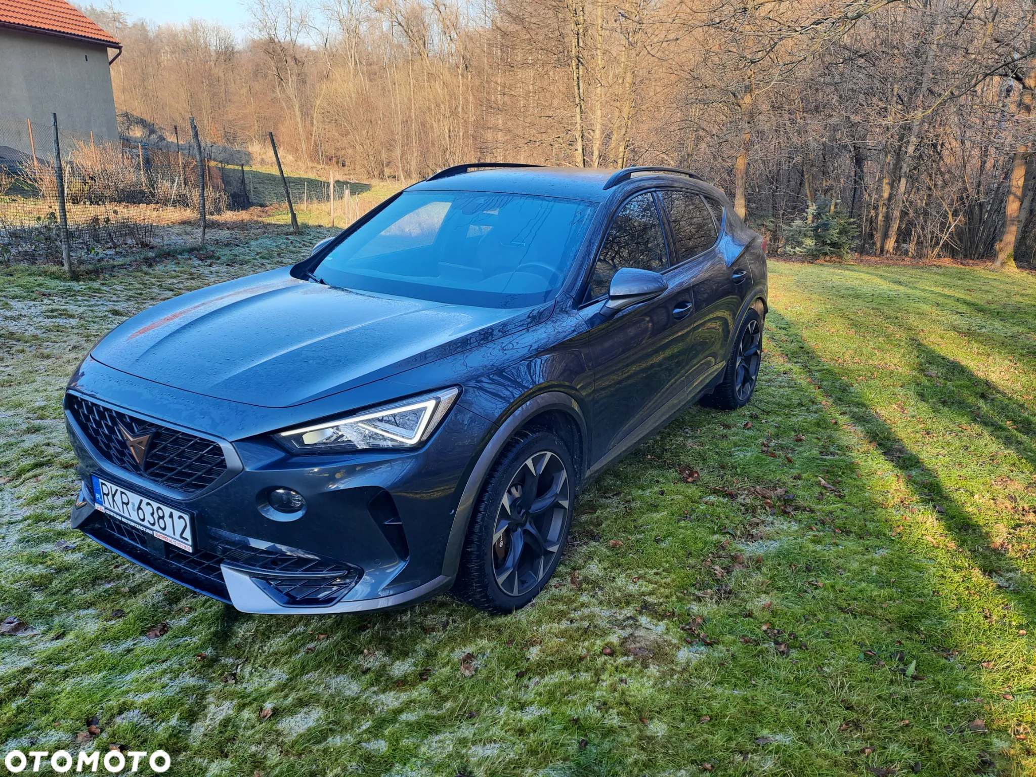 Cupra Formentor VZ 2.0 TSI 4Drive DSG - 2