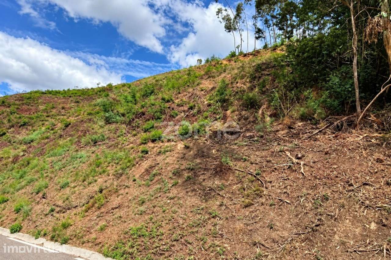 Terreno | 1020 m2 | Torres do Mondego - Grande imagem: 2/10