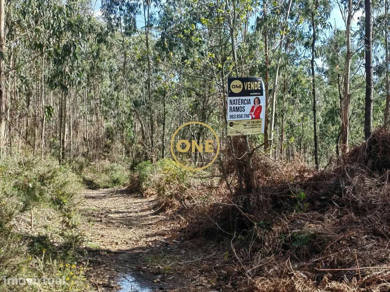 Bouça bem situada em Laundos - Grande imagem: 5/19