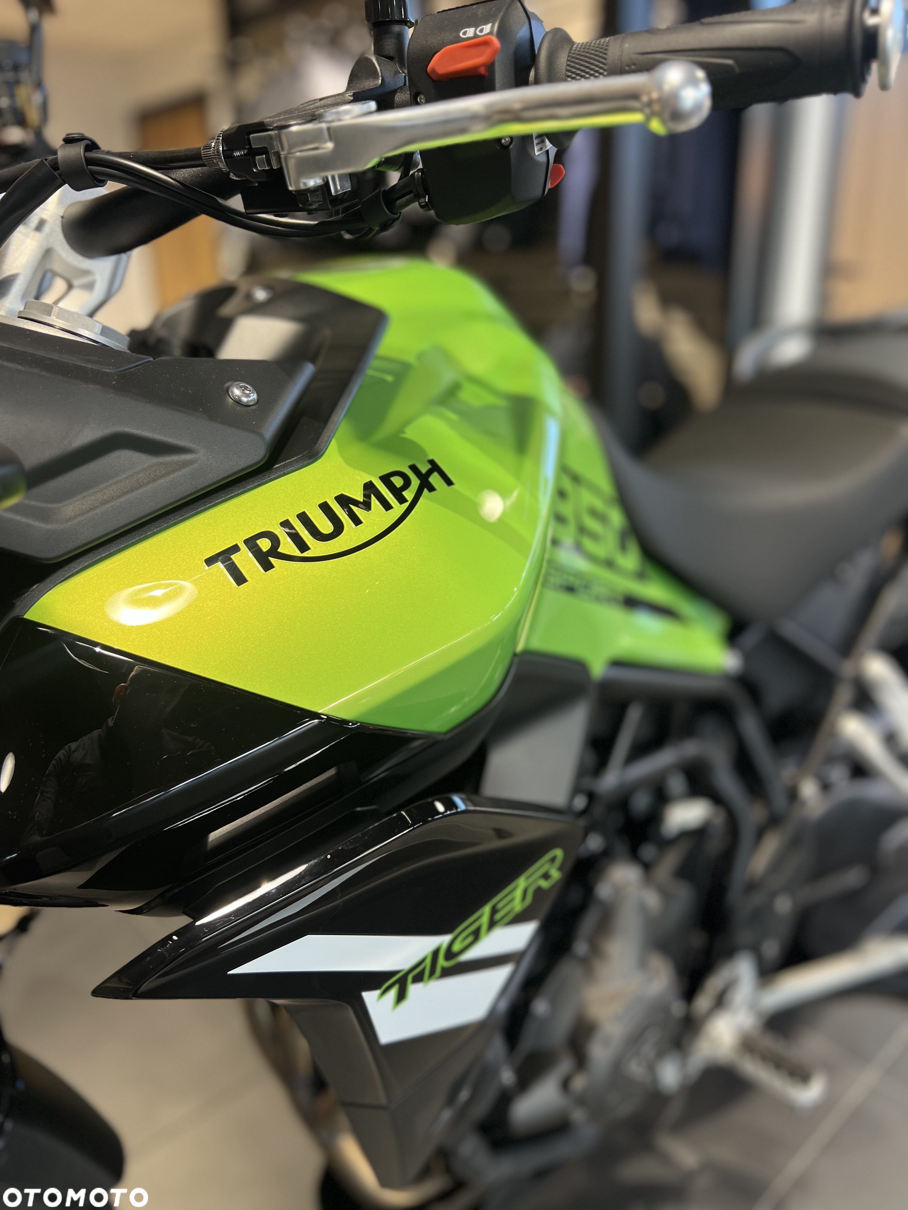 Triumph Tiger - 14