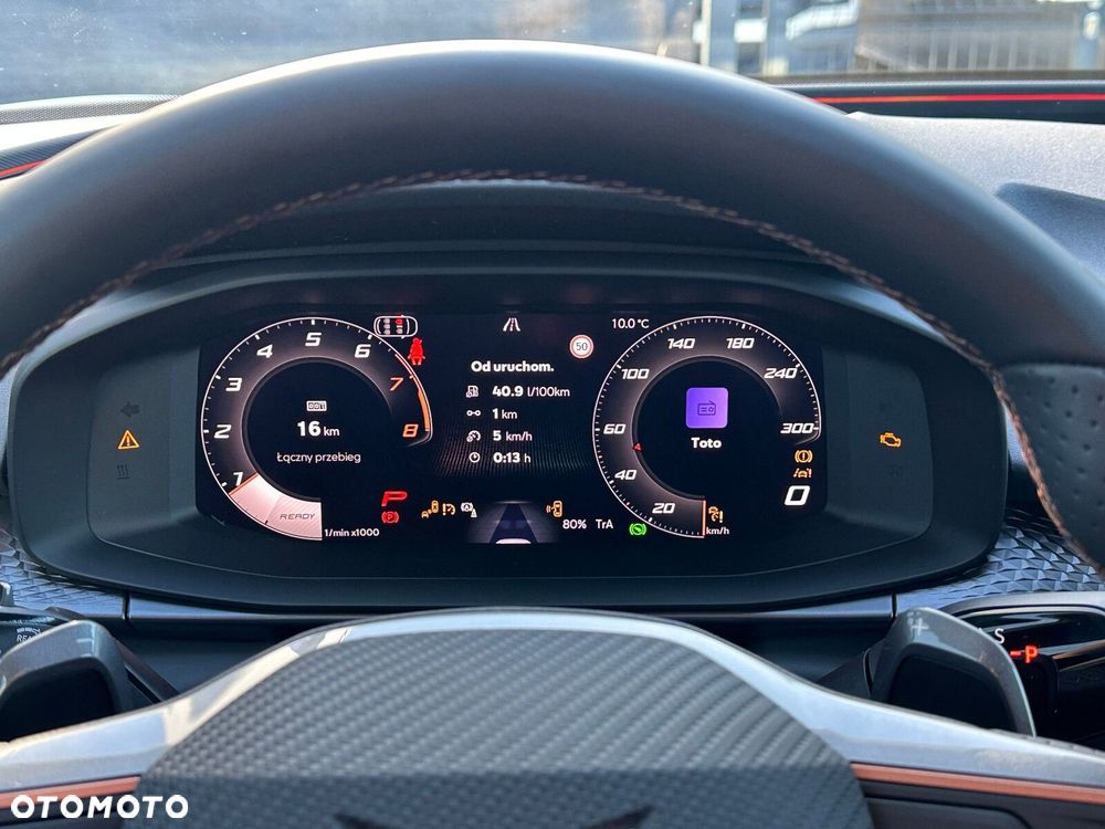 Cupra Terramar 2.0 TSI 4Drive DSG - 29