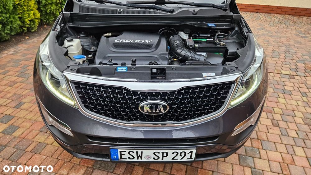 Kia Sportage - 24