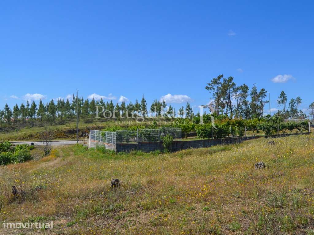 Terreno com aptidão para Construção - Grande imagem: 4/21