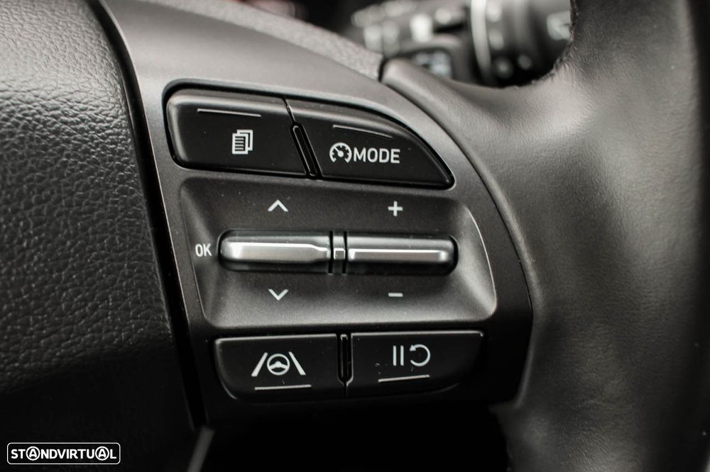 Hyundai Kauai Business - 19