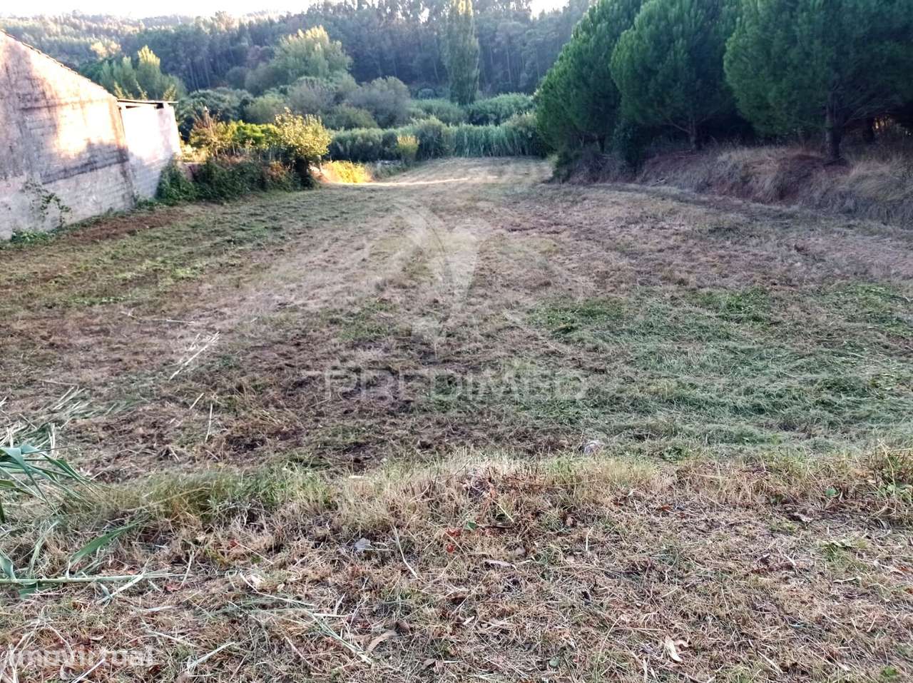 TERRENO ALCOBERTAS - Grande imagem: 3/4