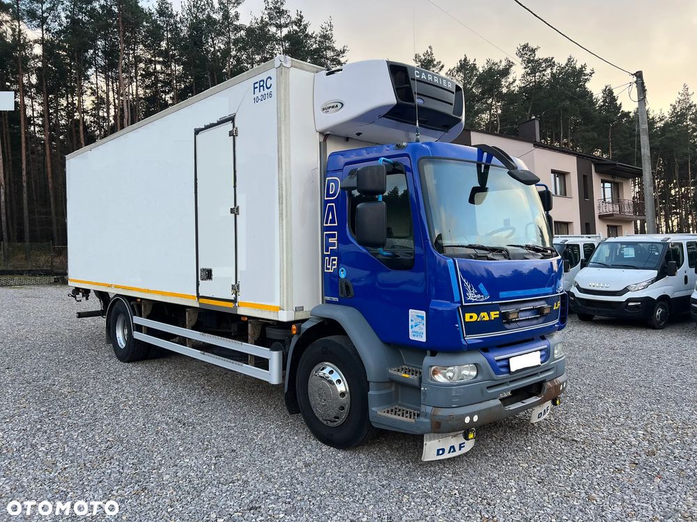 DAF LF55 CHŁODNIA DMC-18.000kg - 1