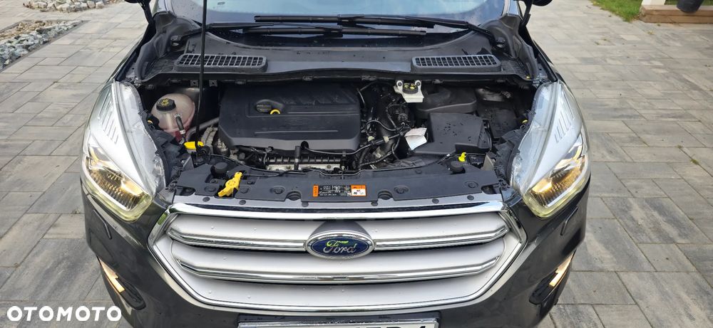 Ford Kuga 1.5 EcoBoost 2x4 Business Edition - 20