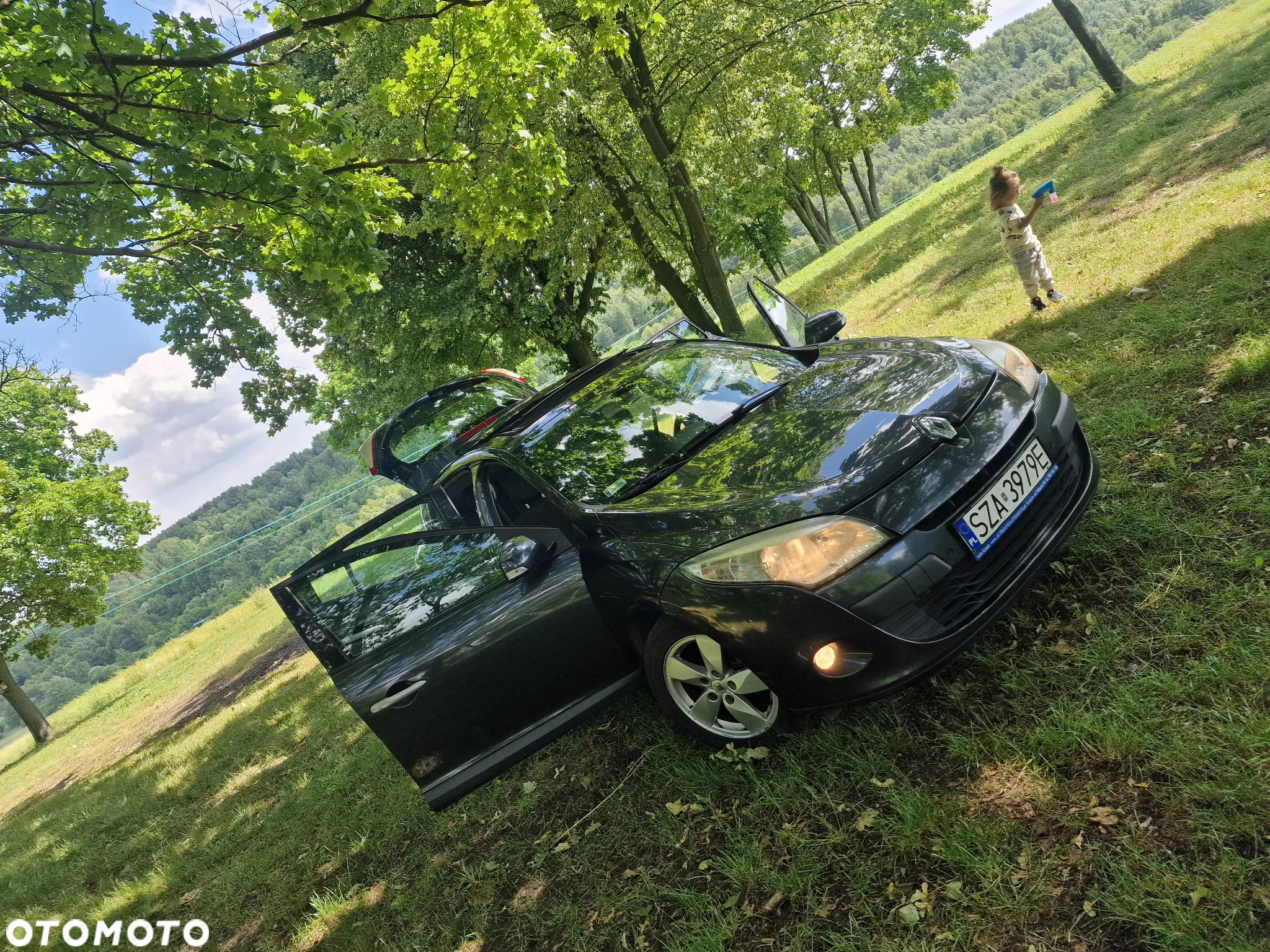 Renault Megane - 18