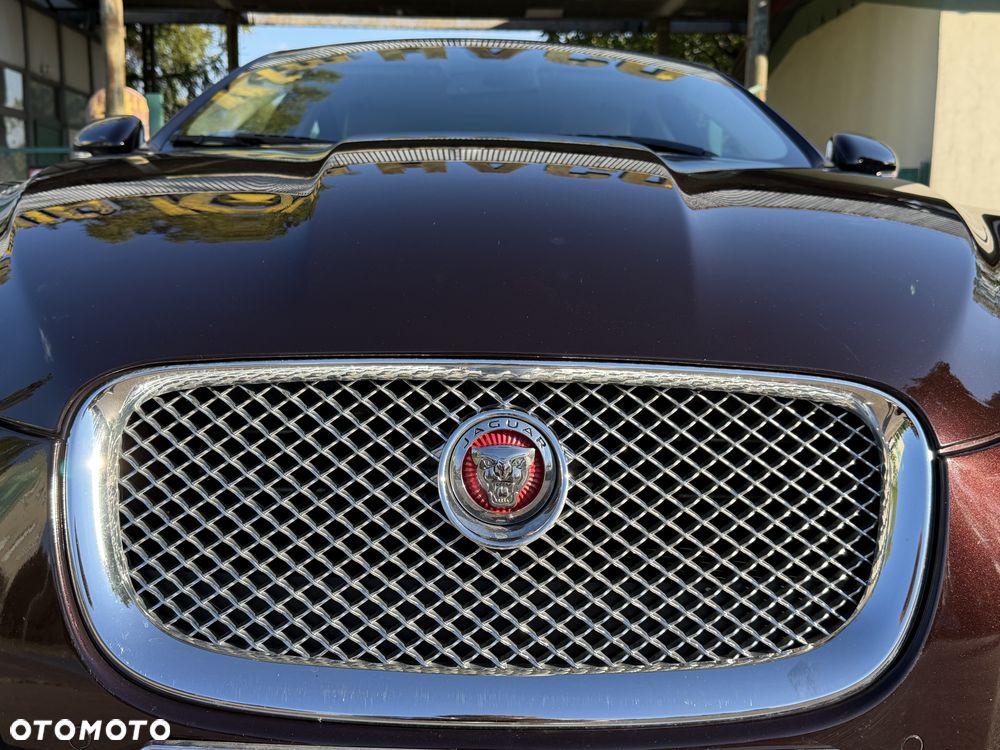 Jaguar XF - 17