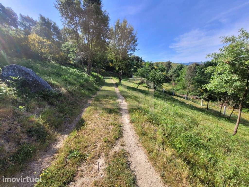 Quinta do Ribeiral - Grande imagem: 2/30