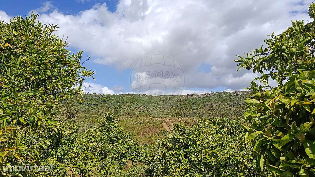 Terreno  para venda - Grande imagem: 3/38