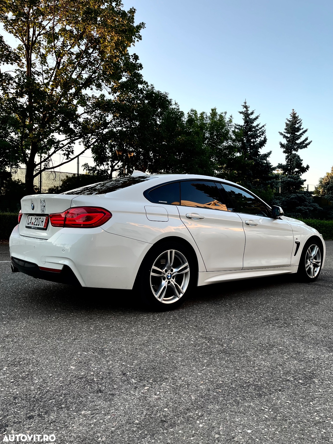 BMW Seria 4 420d Gran Coupe xDrive Aut. Luxury Line - 4