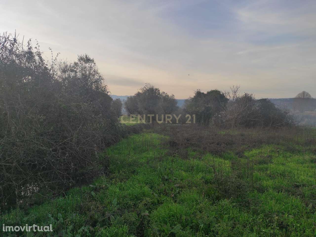 Terreno à venda em Silgueiros, Viseu - 65.000€ - Grande imagem: 4/8