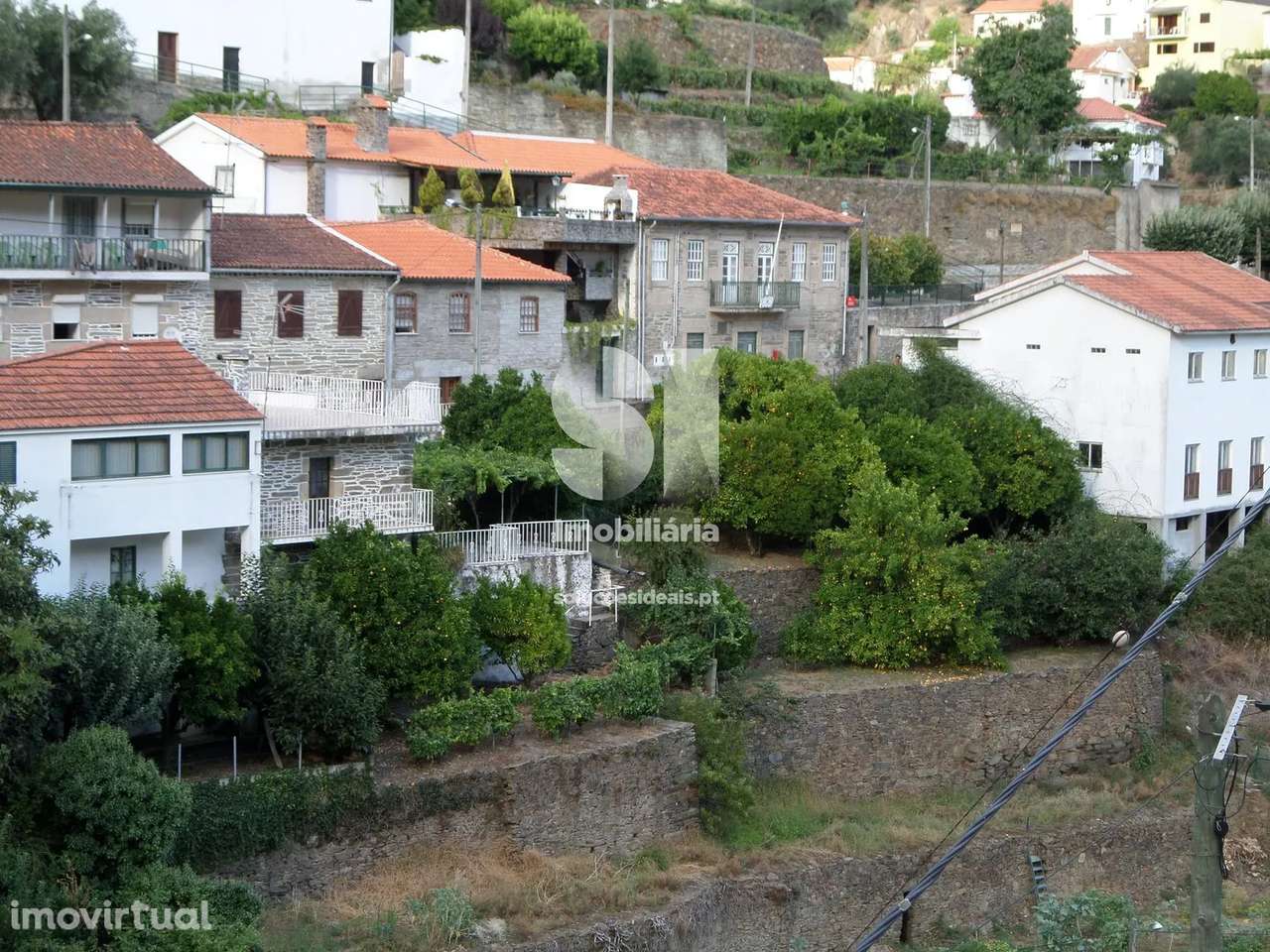 Terreno em Sabrosa - Grande imagem: 2/19
