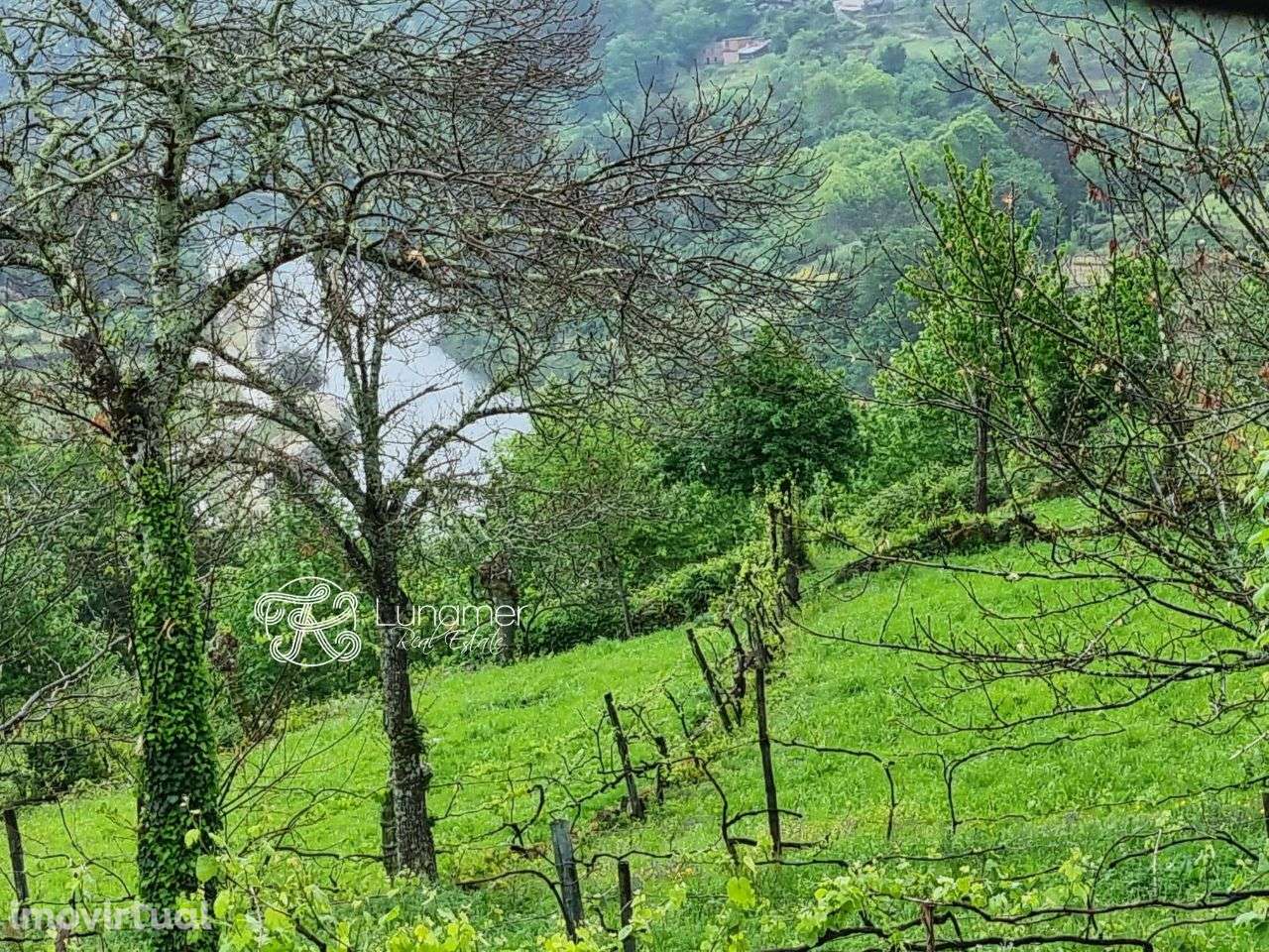 Terreno em Moimenta, Cabeceiras de Basto - Grande imagem: 3/7