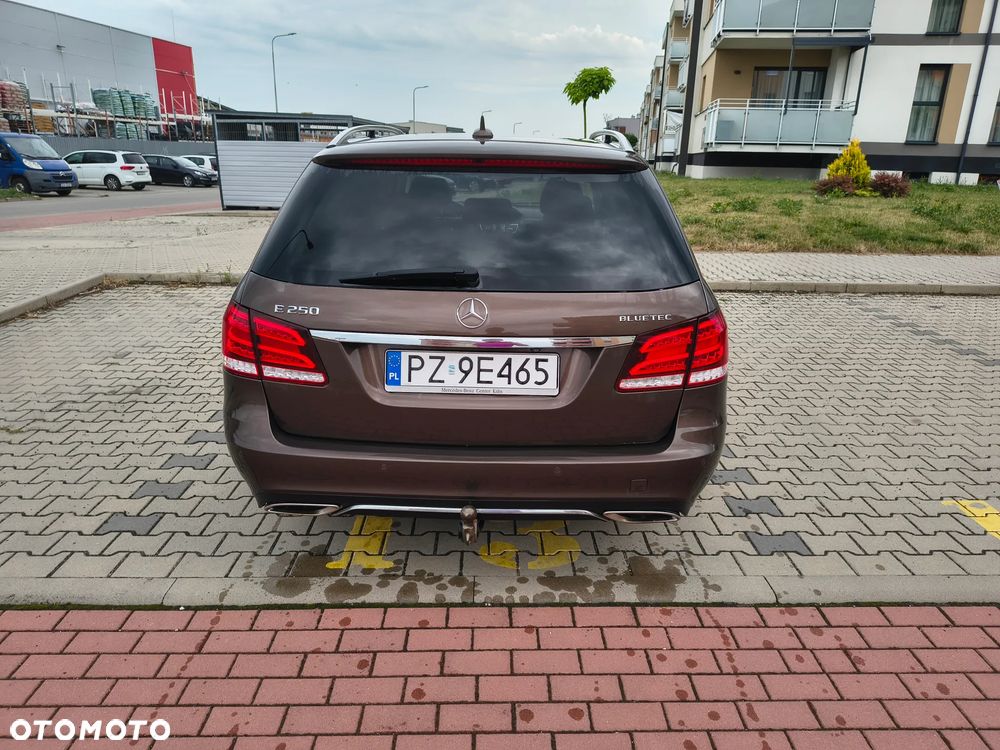 Mercedes-Benz Klasa E 250 BlueTEC 4-Matic Avantgarde - 6