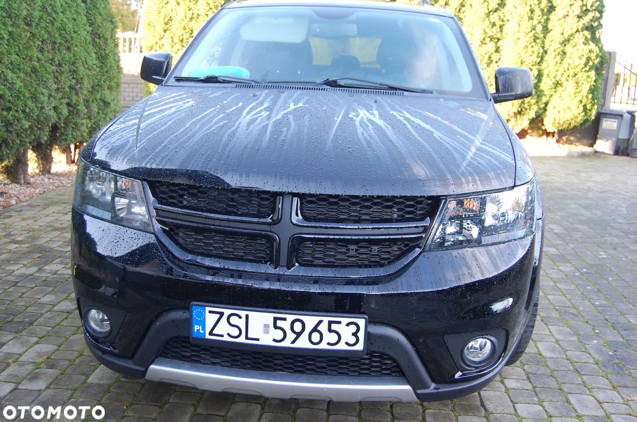 Dodge Journey - 1