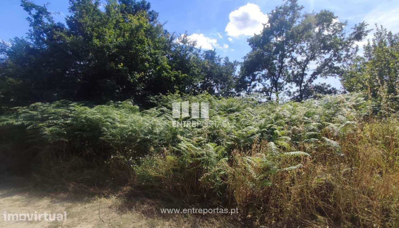 Venda Terreno com 6107m2, Soalhães, Marco de Canaveses - Grande imagem: 3/30